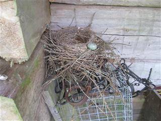 Pienpetopyynnin kes�tauko